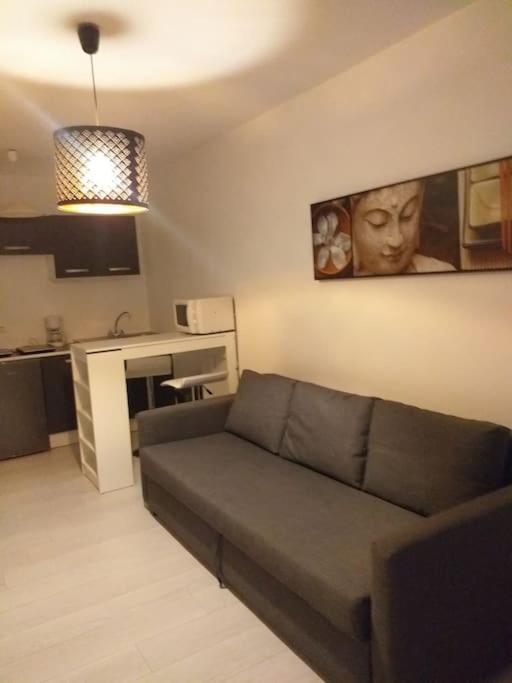 Studio Meuble Wifi A Proximite Du Tram Castelnau-le-Lez Kültér fotó