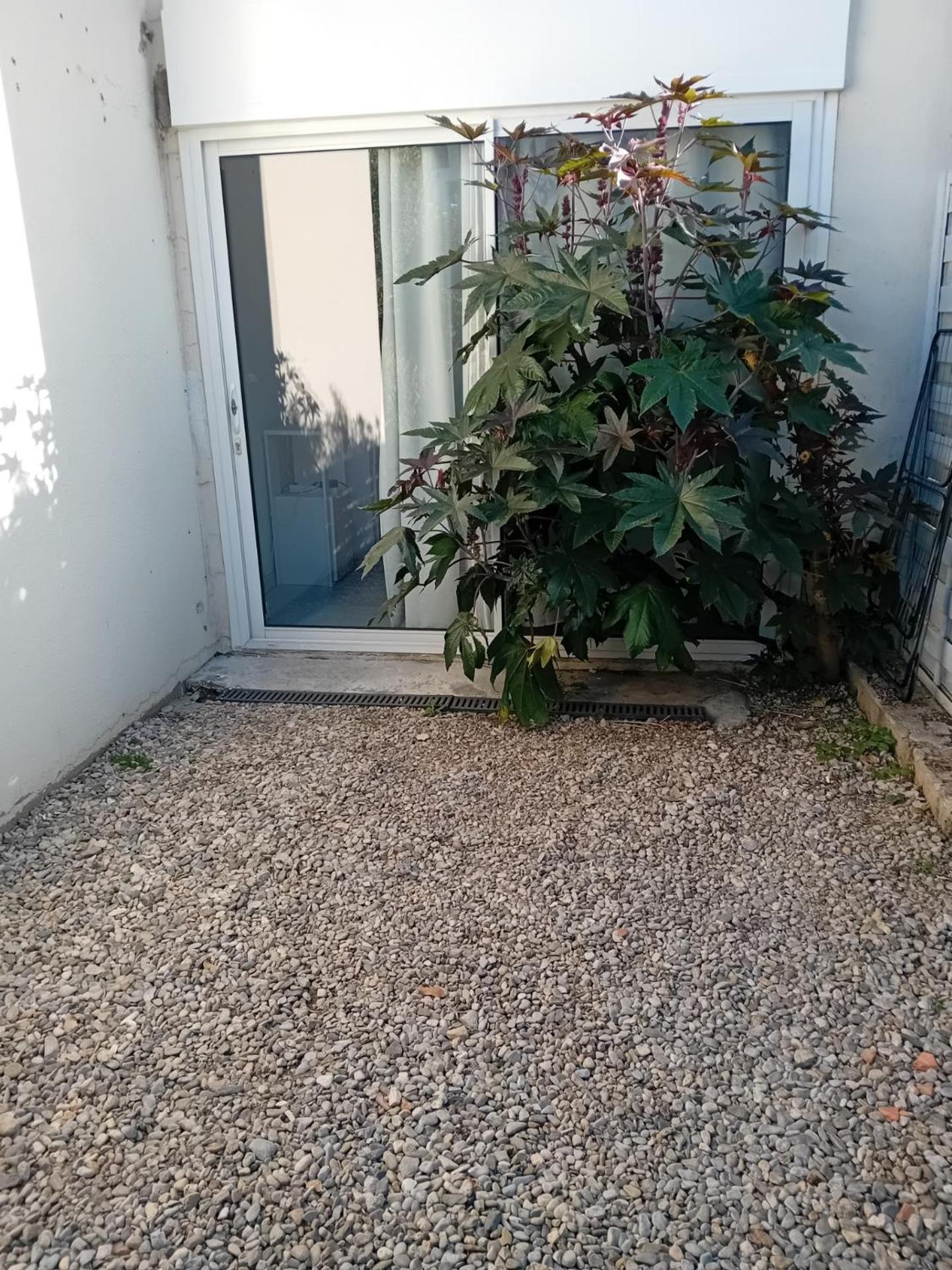 Studio Meuble Wifi A Proximite Du Tram Castelnau-le-Lez Kültér fotó